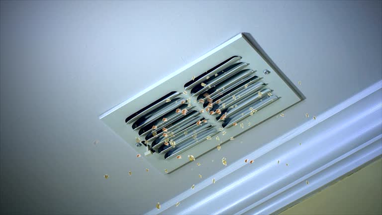 Ductwork Cleaning Services in Escanaba, MI