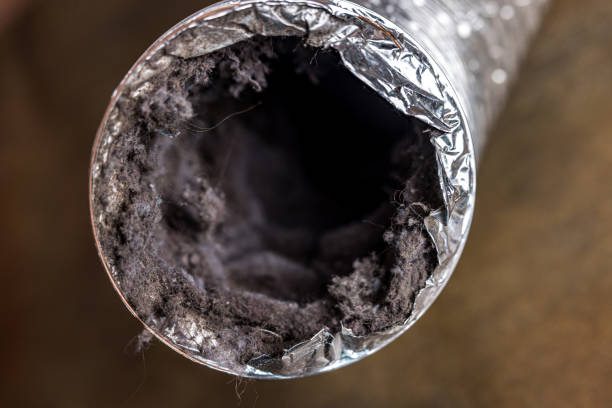 Best Ventilation Cleaning Services  in Escanaba, MI