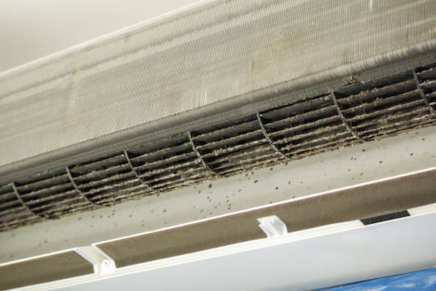 Best HVAC Duct Inspection Services  in Escanaba, MI